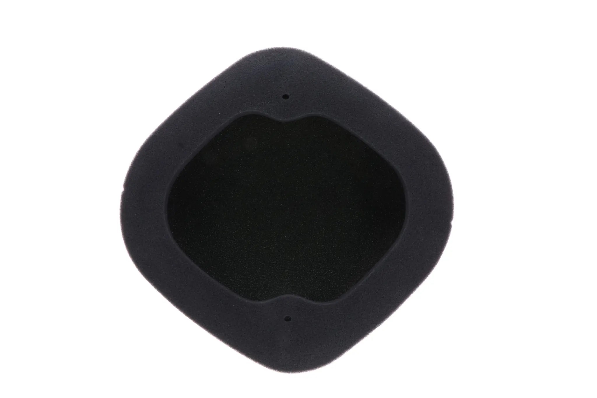 Twin Air Standard Air Filter