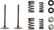 Moose Offroad Intake Valve And Spring Kit