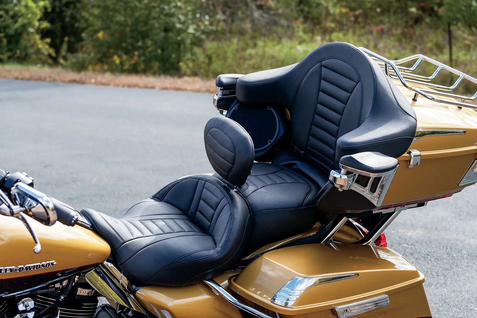 Mustang Removable Driver Backrest - Black Vinyl