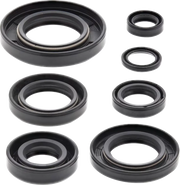 Moose Offroad Engine & Transmission Oil Seal Kit