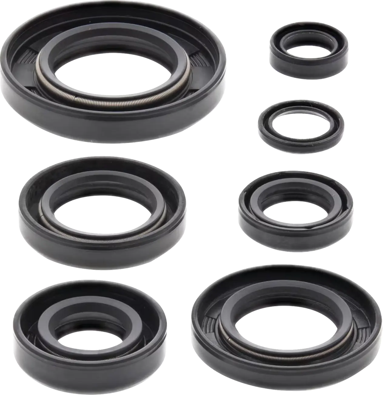 Moose Offroad Engine & Transmission Oil Seal Kit