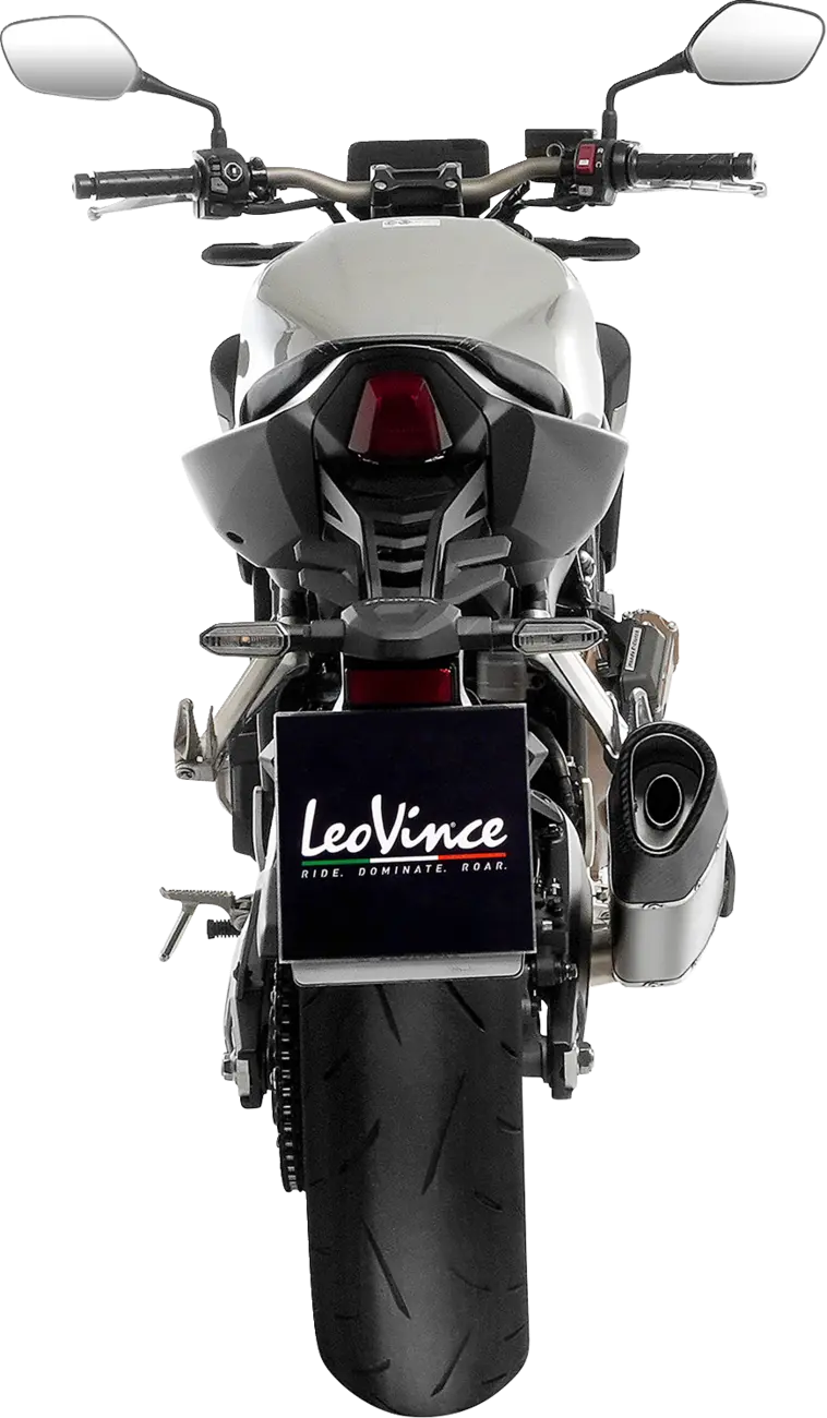 Leovince LV-14 R Exhaust System