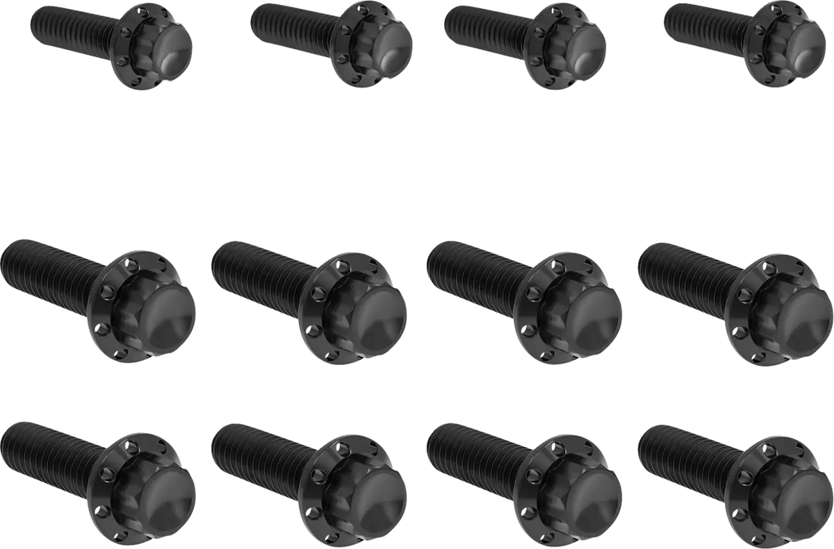 Arlen Ness Titanium 12-Point M8 Bolt Kit Black