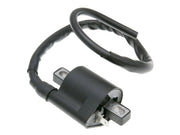 101 Octane Ignition Coil