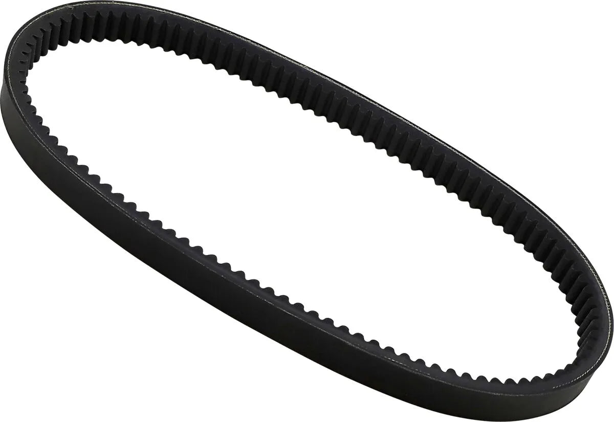Dayco High Performance Drive Belt