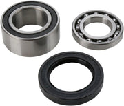All Balls Chain Case Bearing and Seal Kit