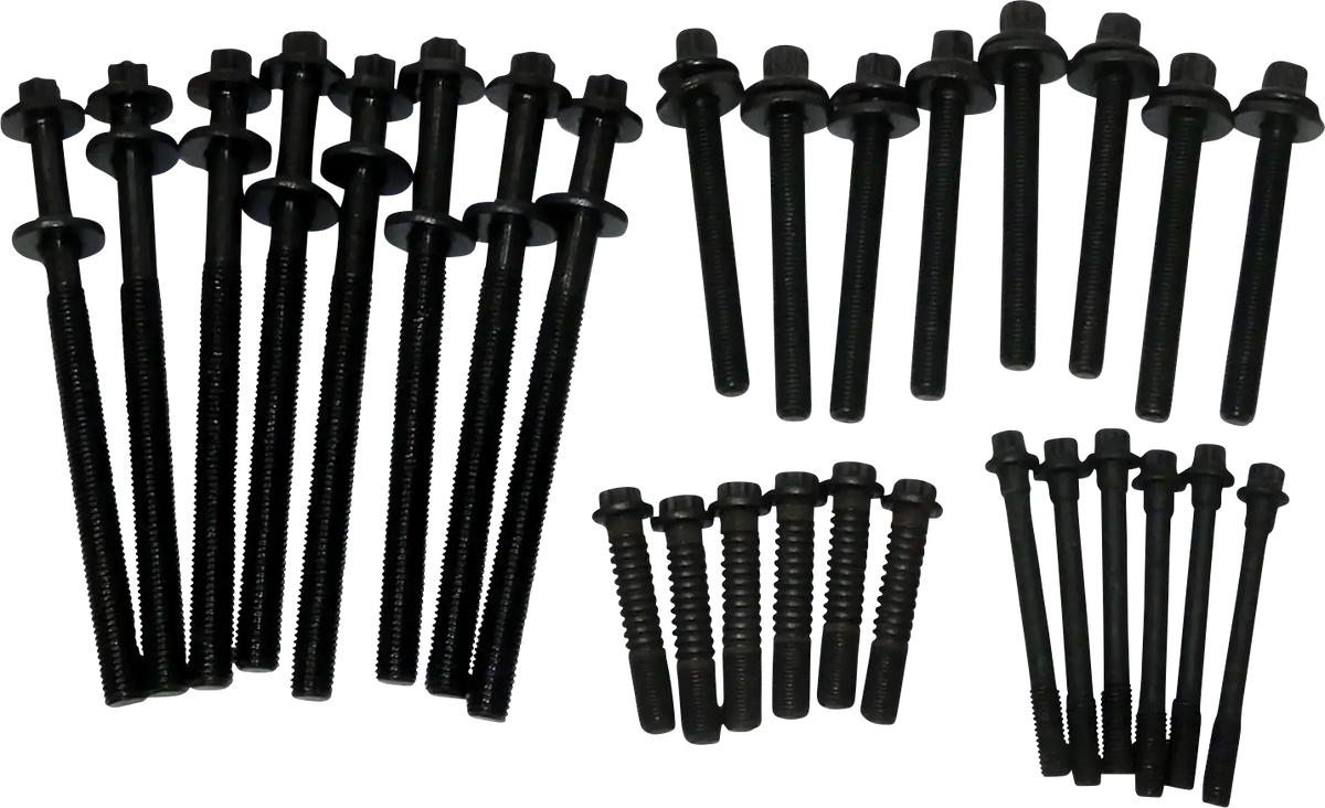 WSM Engine Bolt Kit