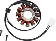 Rick's Motorsport Electric Oem Style Stator