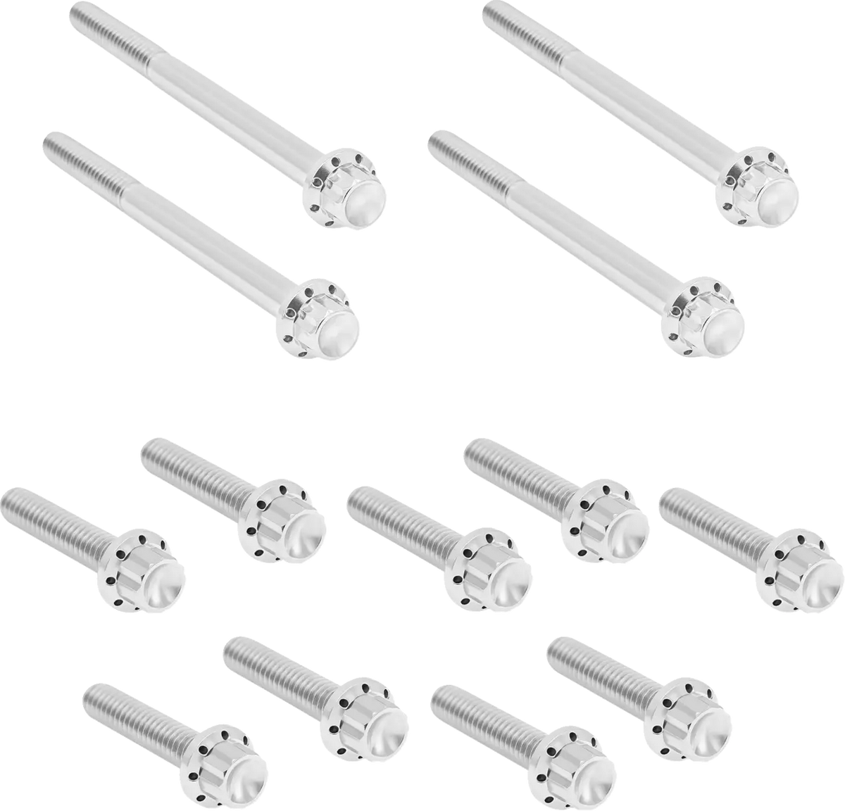 Arlen Ness 12-Point Titanium Bolt Kit Polish for Softail
