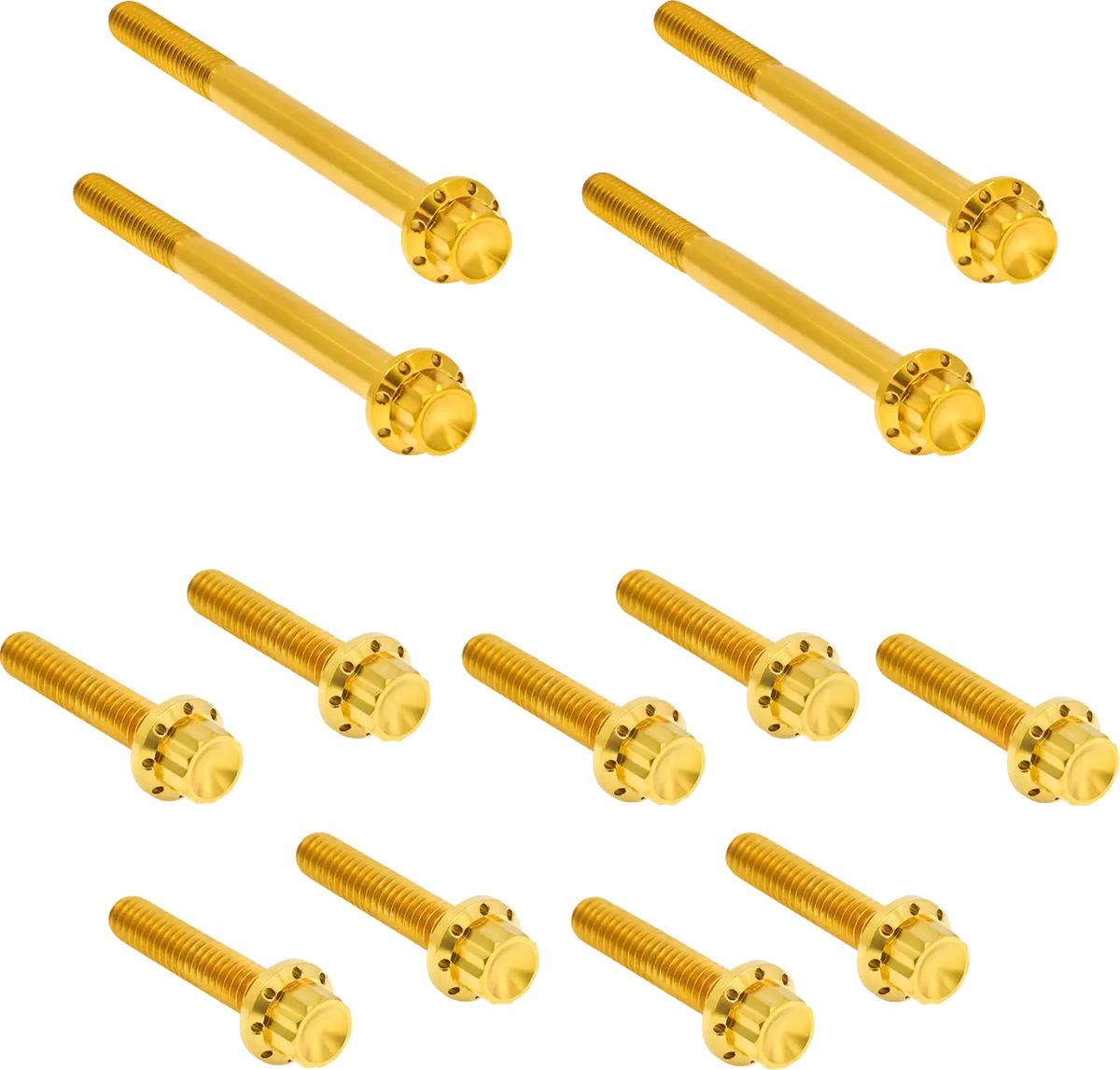Arlen Ness Gold Titanium 12-Point Primary Bolt Kit Softail