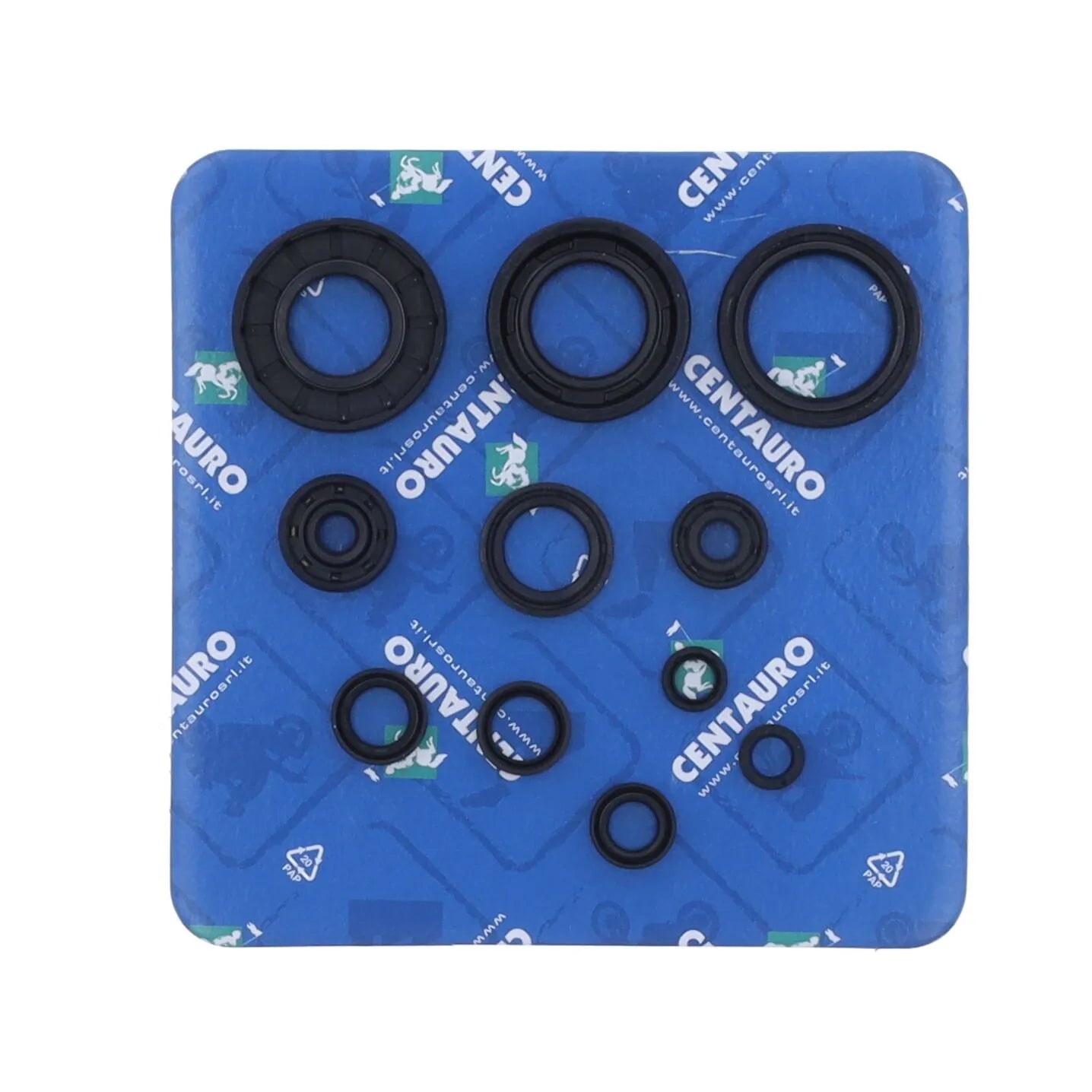 Centauro Fork Oil Seal Kit