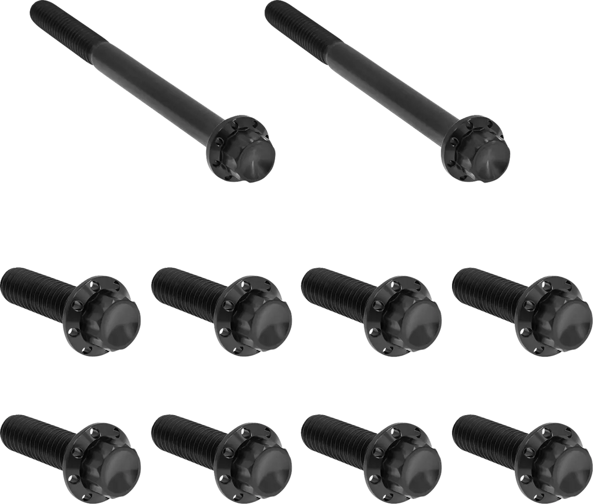 Arlen Ness Black Titanium 12-Point M8 Bolt Kit Trans Side Cover