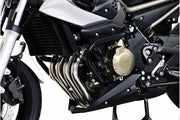 Sw-motech Crash Bar For Frame Mounting Points