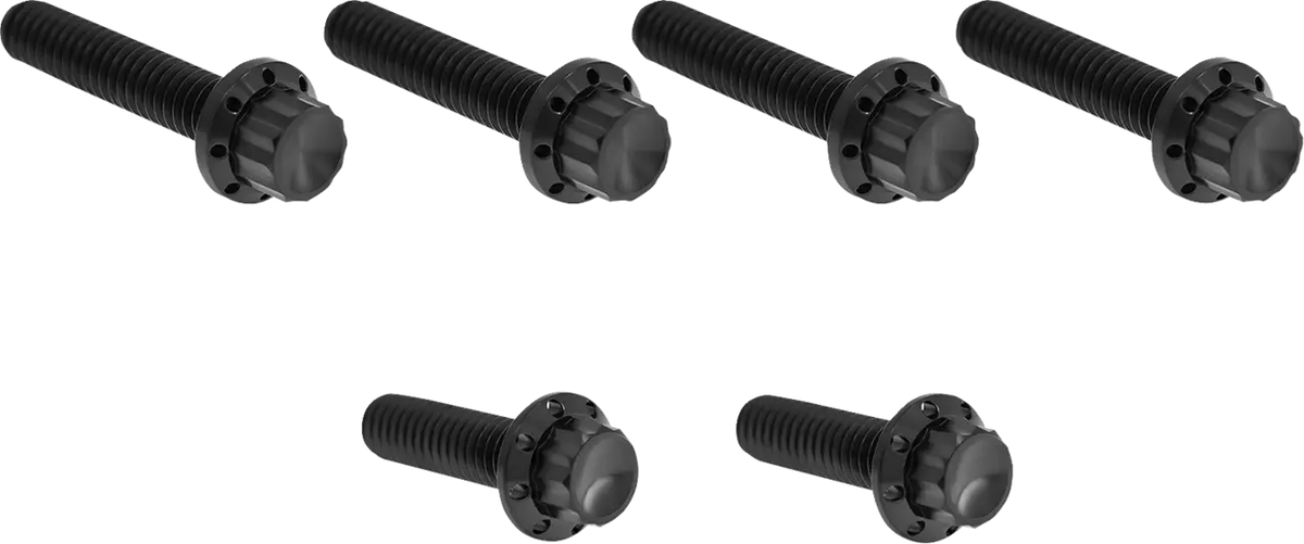 Arlen Ness 12-Point M8 Titanium Bolt Kit Black for Transmission