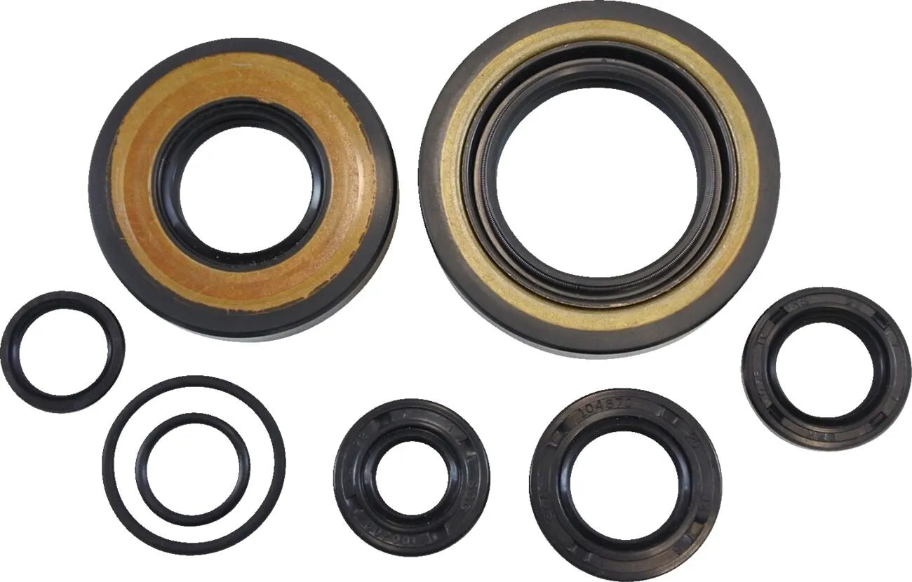 Vintco Oil Seal Kit for Engine Lower End