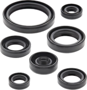 Moose Offroad Hard-Parts Engine & Transmission Oil Seal Set