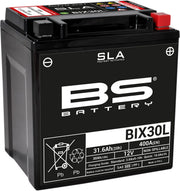 Bs Battery Agm 12v 21ah - Maintenance-free