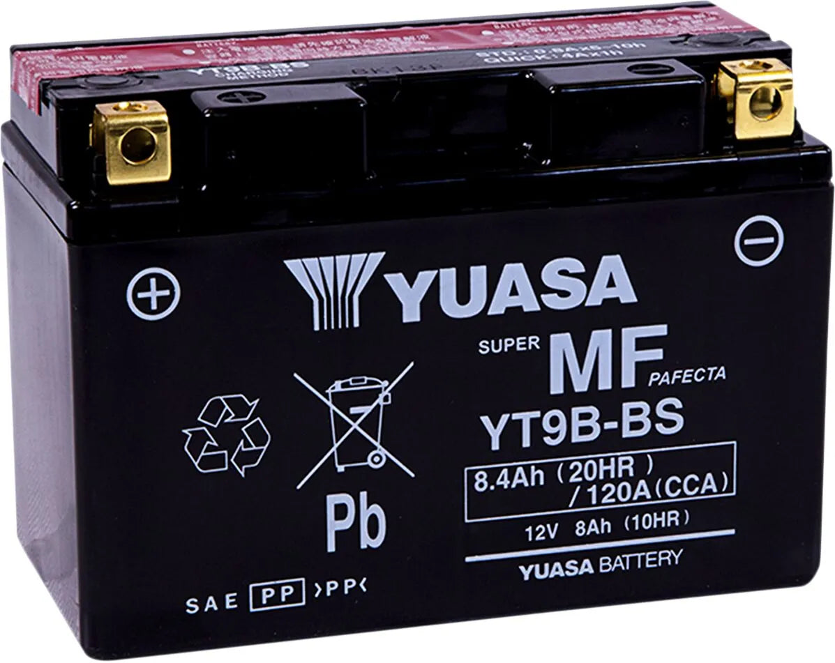 Yuasa AGM Maintenance-Free Battery