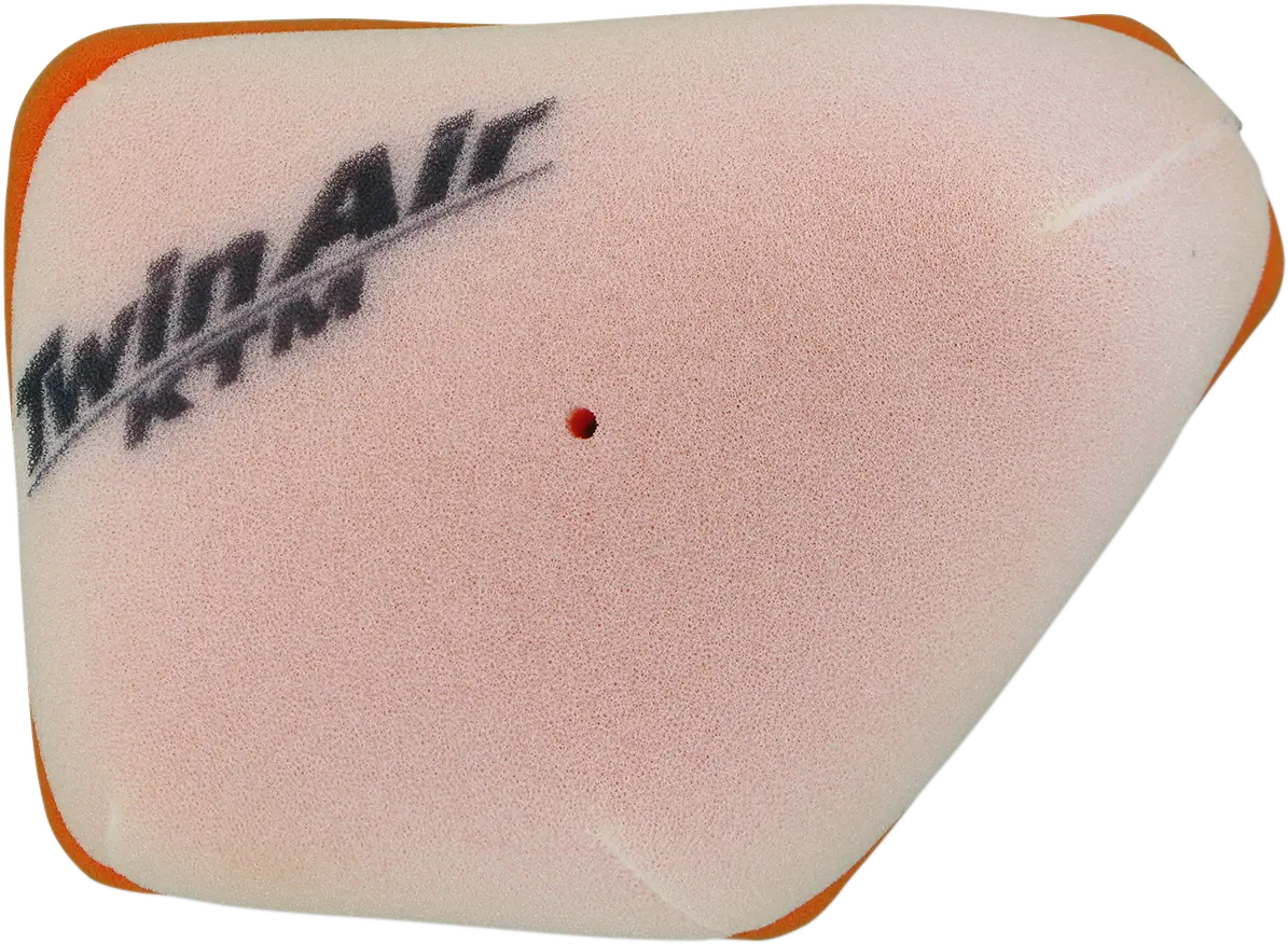 Twin Air Standard Air Filter