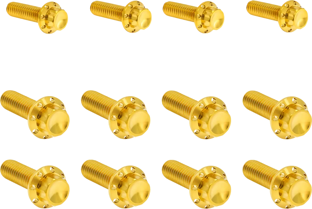 Arlen Ness Titanium 12-Point M8 Gold Transmission Bolt Kit