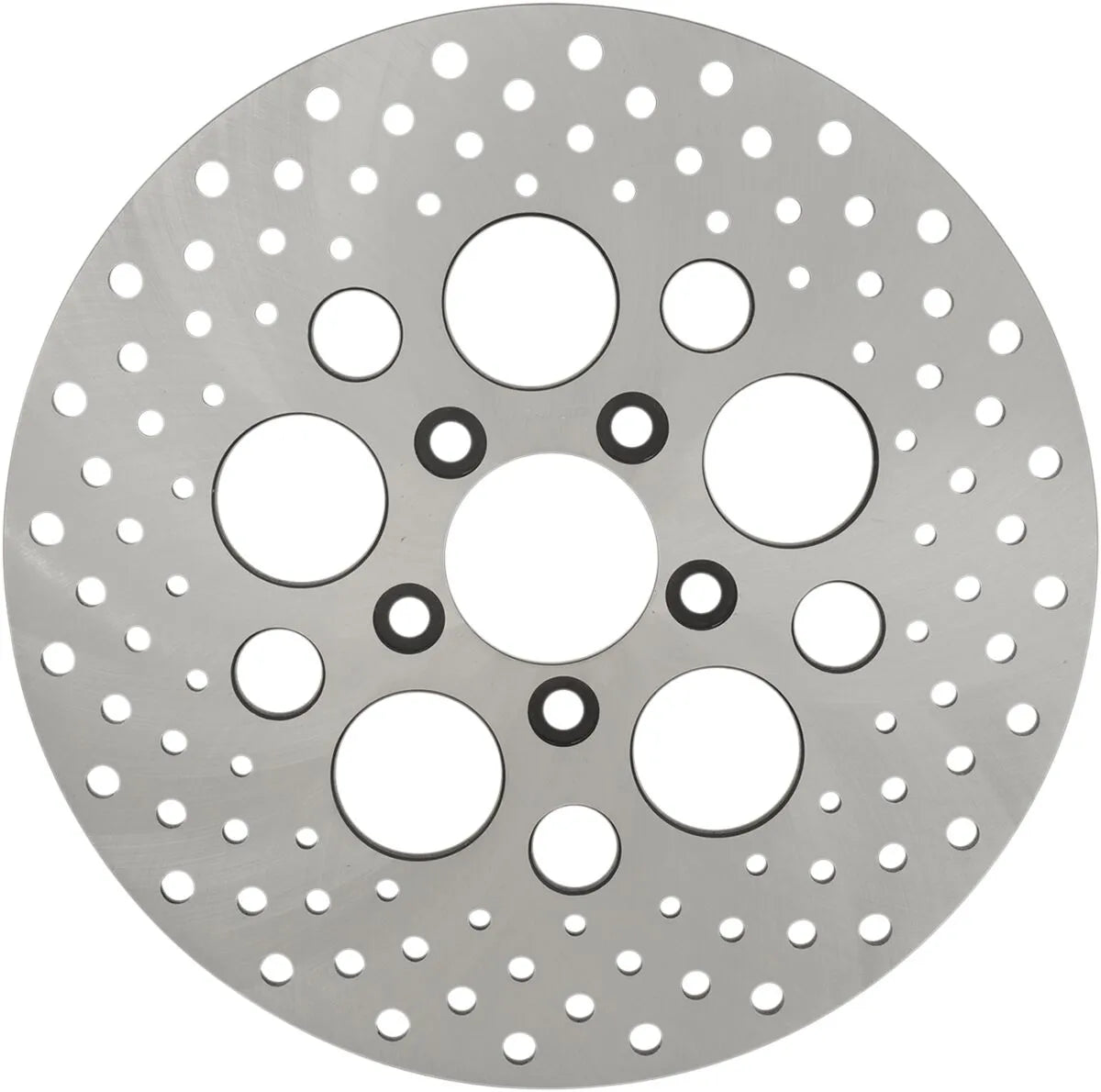 Tarcza hamulcowa Drag Specialties ze stali nierdzewnej, wiercona - Tył
