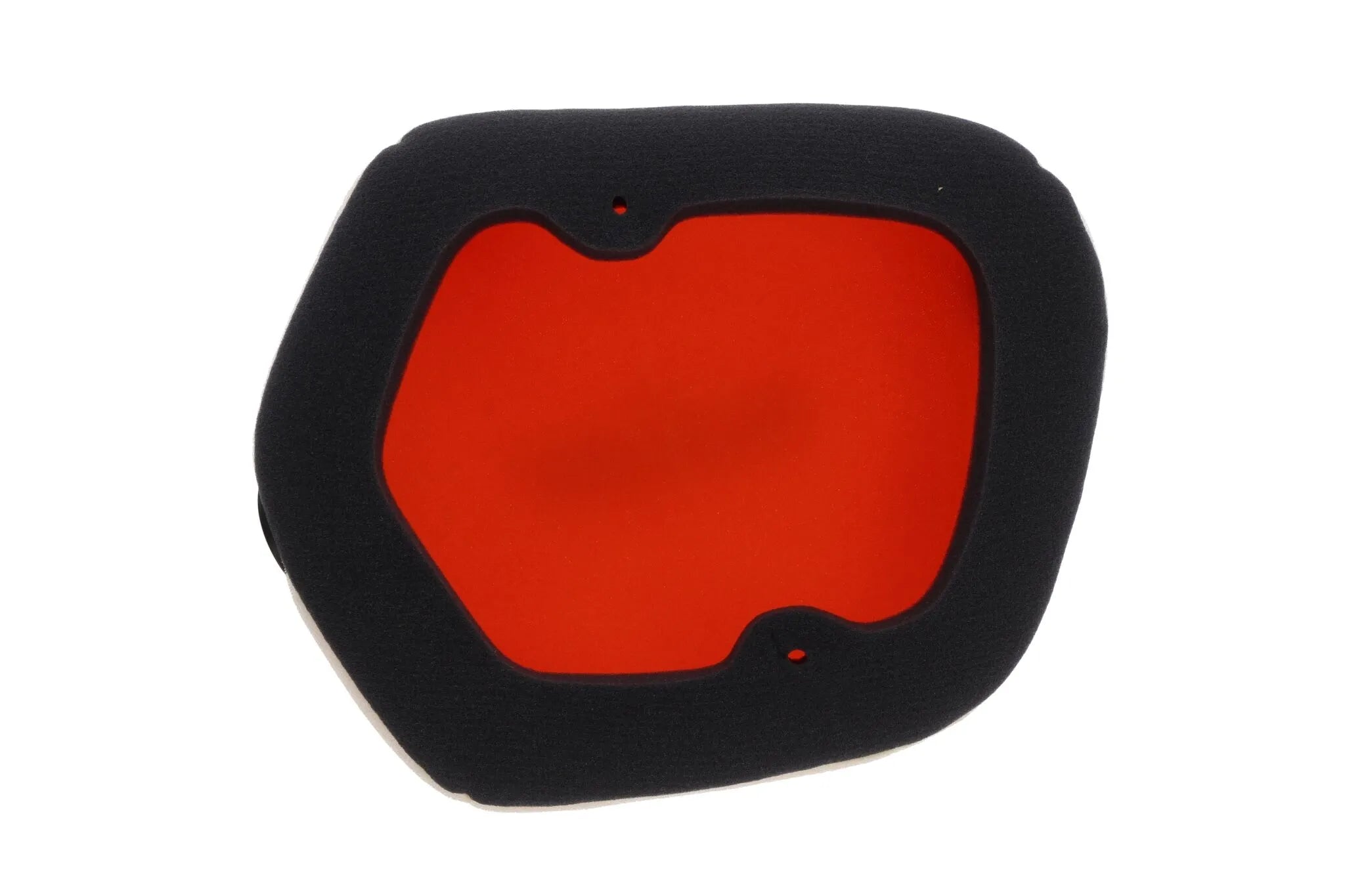 Twin Air Air Filter