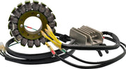 Rick's Motorsport Electric Lithium-ion Charging Kit