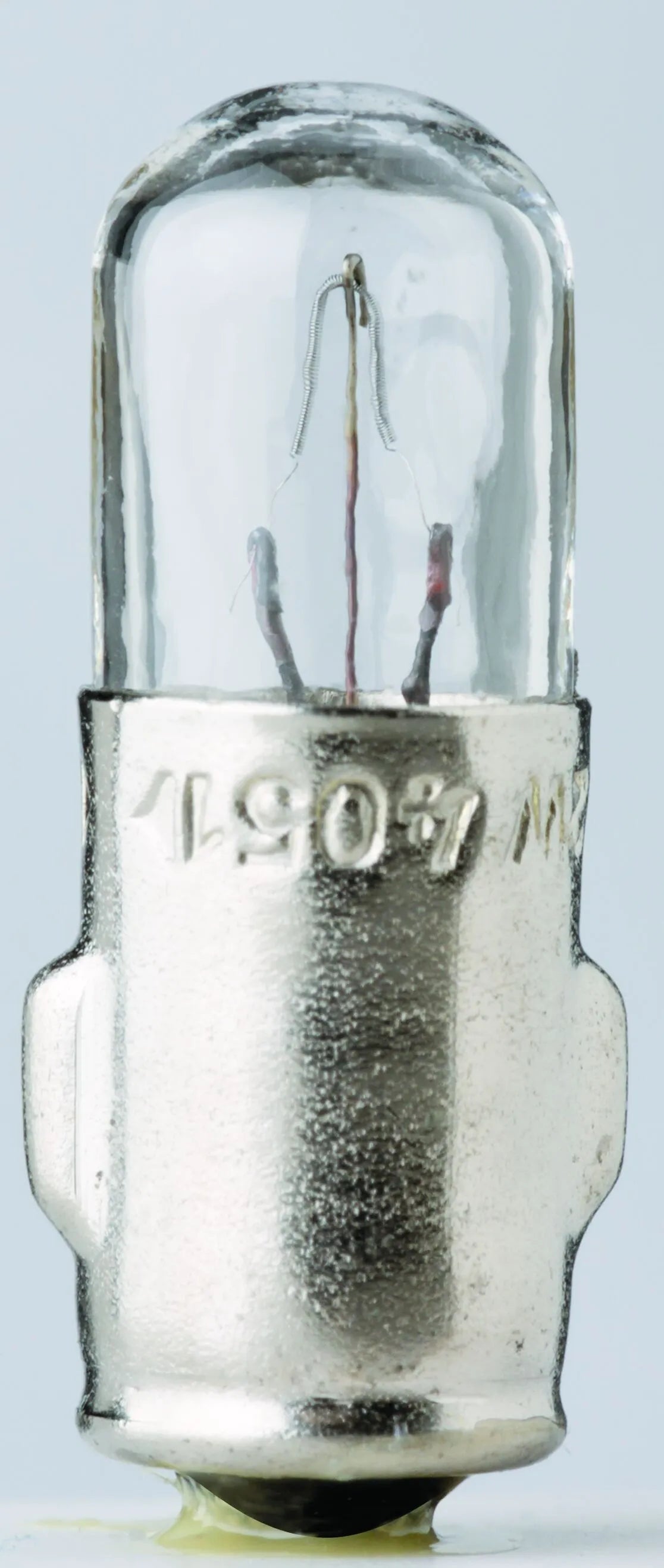 Flosser Filament Bulbs - 12v Replacement
