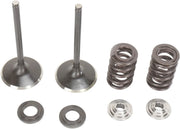 Moose Offroad Intake Valve And Spring Kit