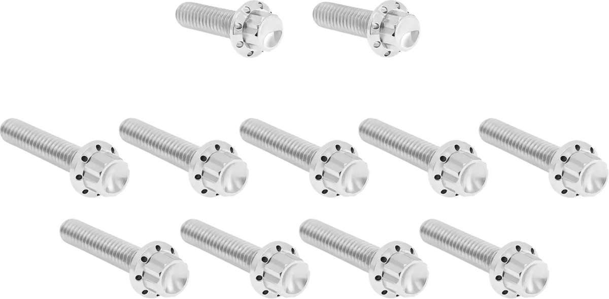 Arlen Ness Titanium 12-Point M8 Bolt Kit Polish