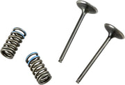Prox Valve And Spring Kit - Steel, Nitrided Valves