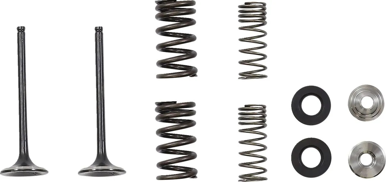 Moose Offroad Exhaust Valve And Spring Kit