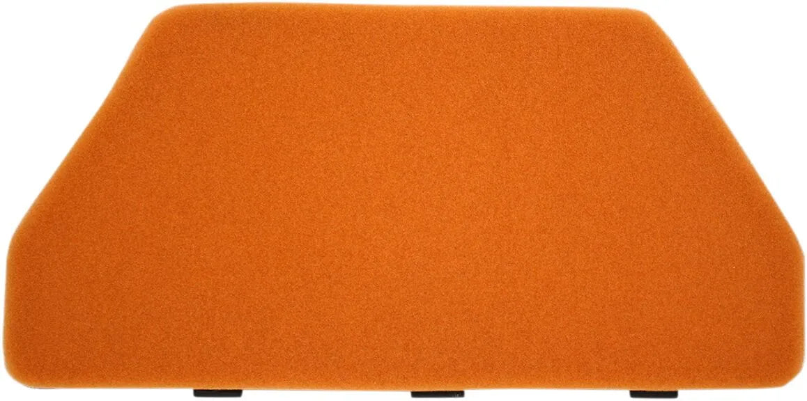Twin Air Standard Air Filter