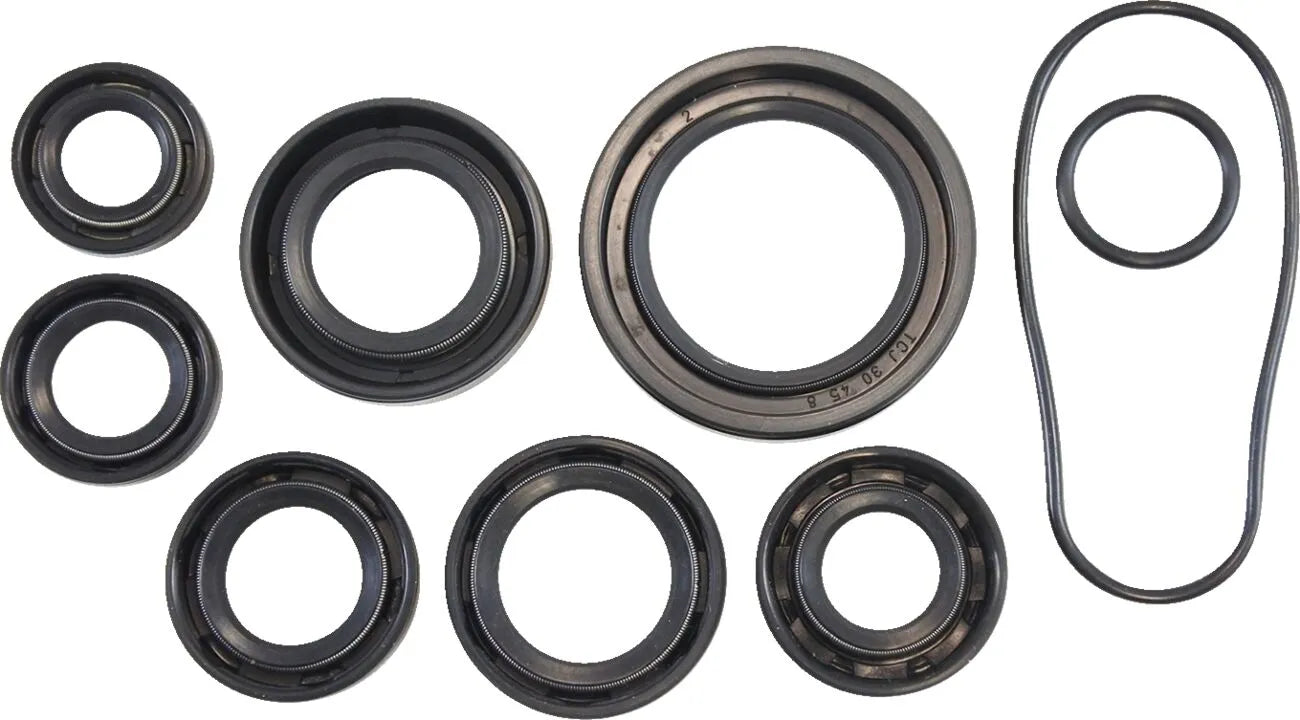 Vintco Engine Oil Seal Kit for Motorcycle Lower End