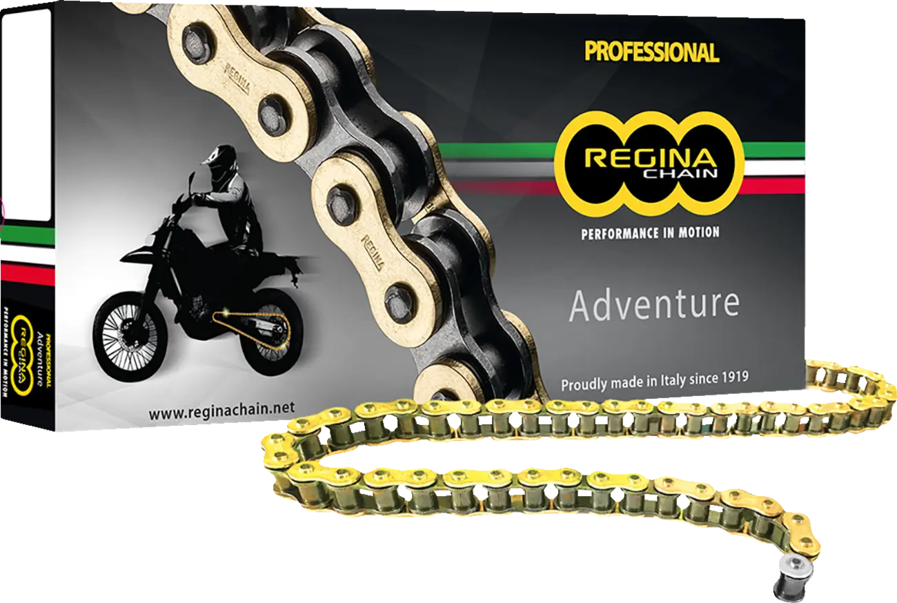 Regina 520 Zre Z-ring Chain