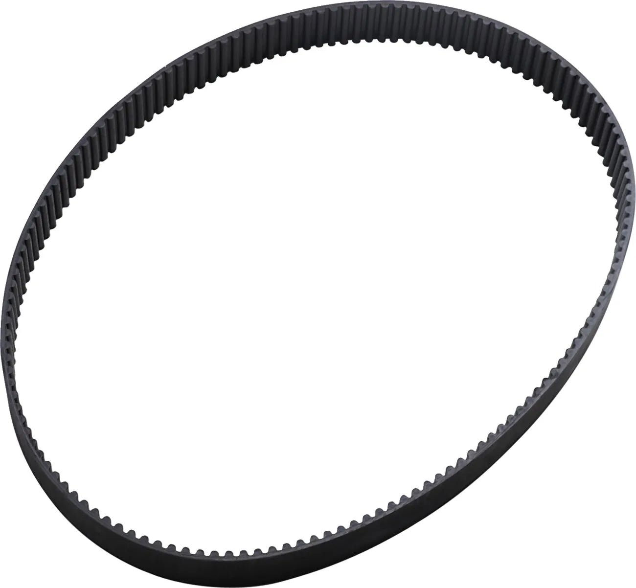 Belt Drives Ltd. Primary Belt - 142 Tooth