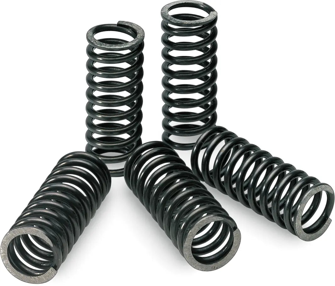 Pro Circuit Clutch Spring Set