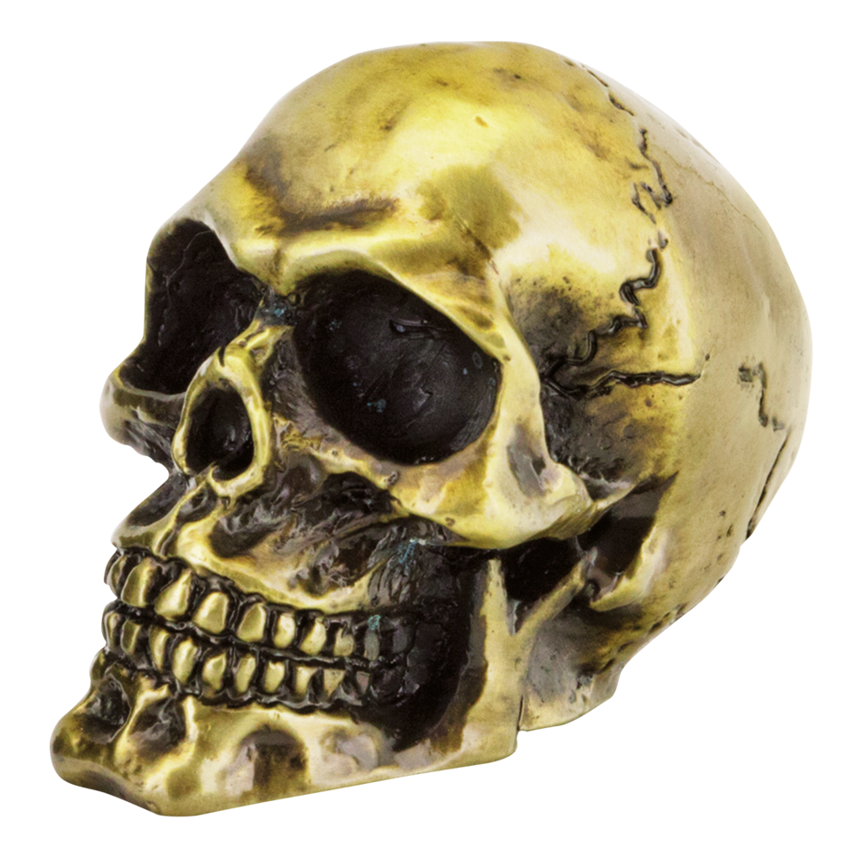 Zodiac Genuine Zodiac Skulls – Fender & Struts