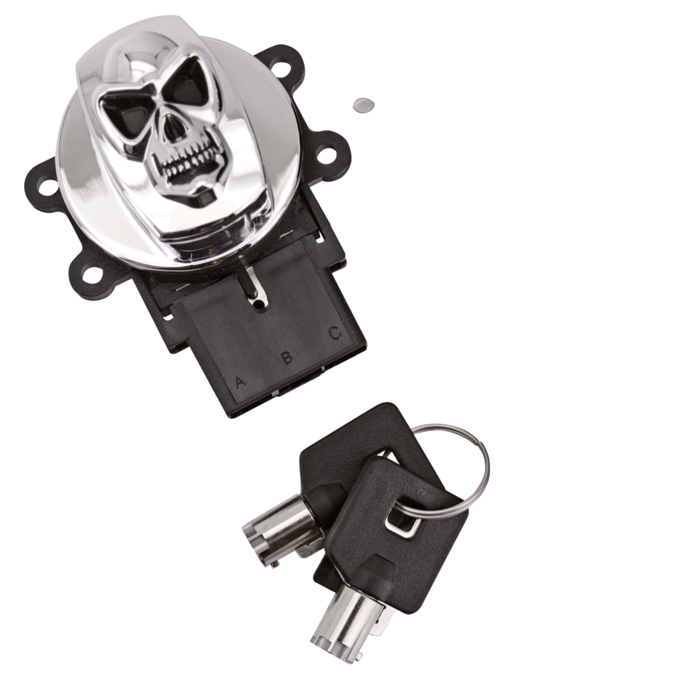 Zodiac Skull Ignition Switches – Electric & Light