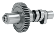 Andrews Evolution Big Twin Cams – Engine