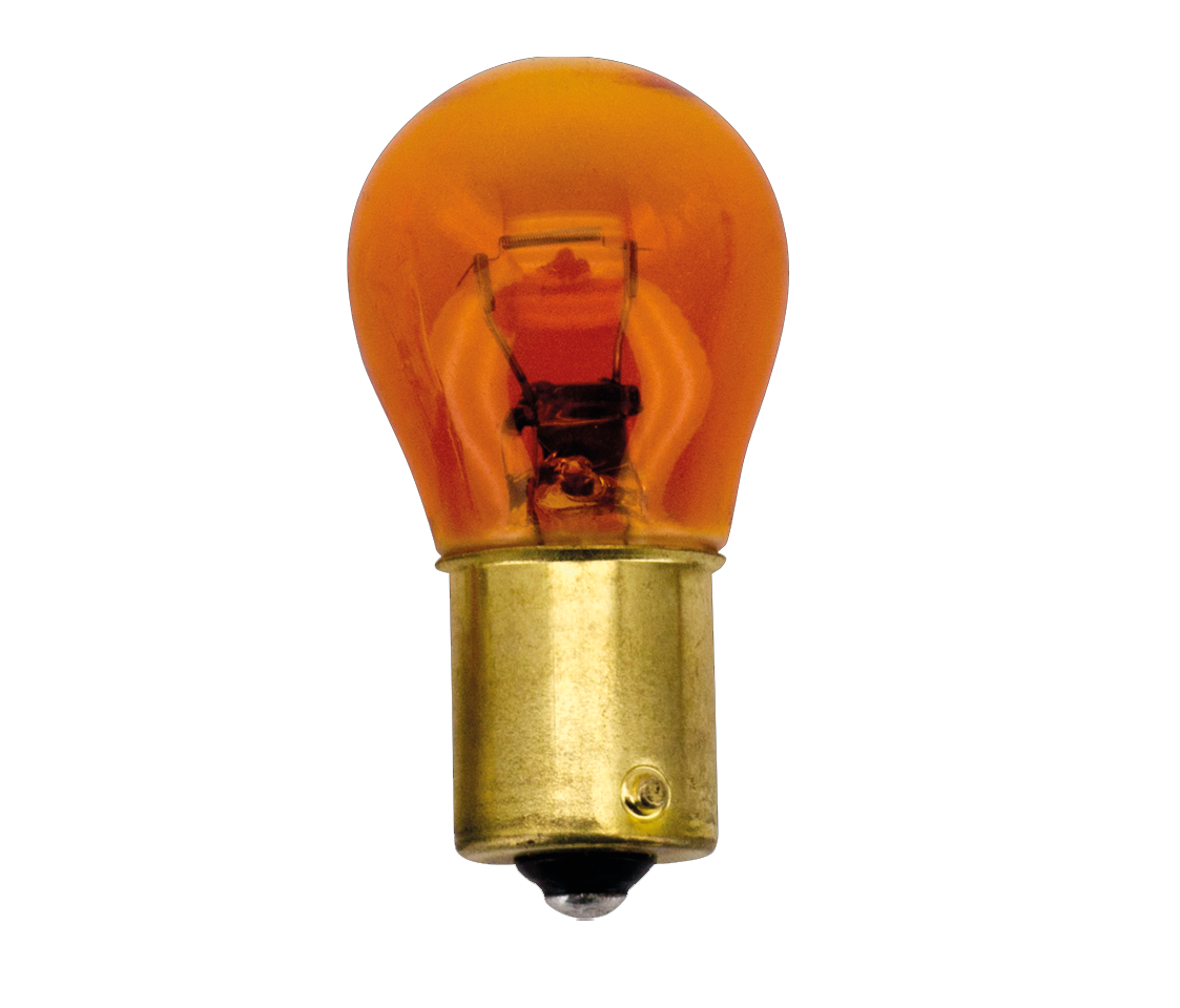 Zodiac Turn Signal Bulbs – Electric & Light