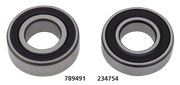 Zodiac Rear Wheel Bearings for 1996-2002 Buell – Wheel & Tire