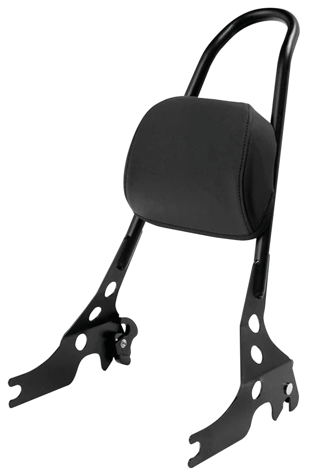 Zodiac Detachable One Piece Sissy Bar for Sportster – Seat