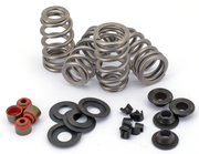 Kibblewhite High Performance Ovate Wire Beehive Valve Spring Kits – Engine
