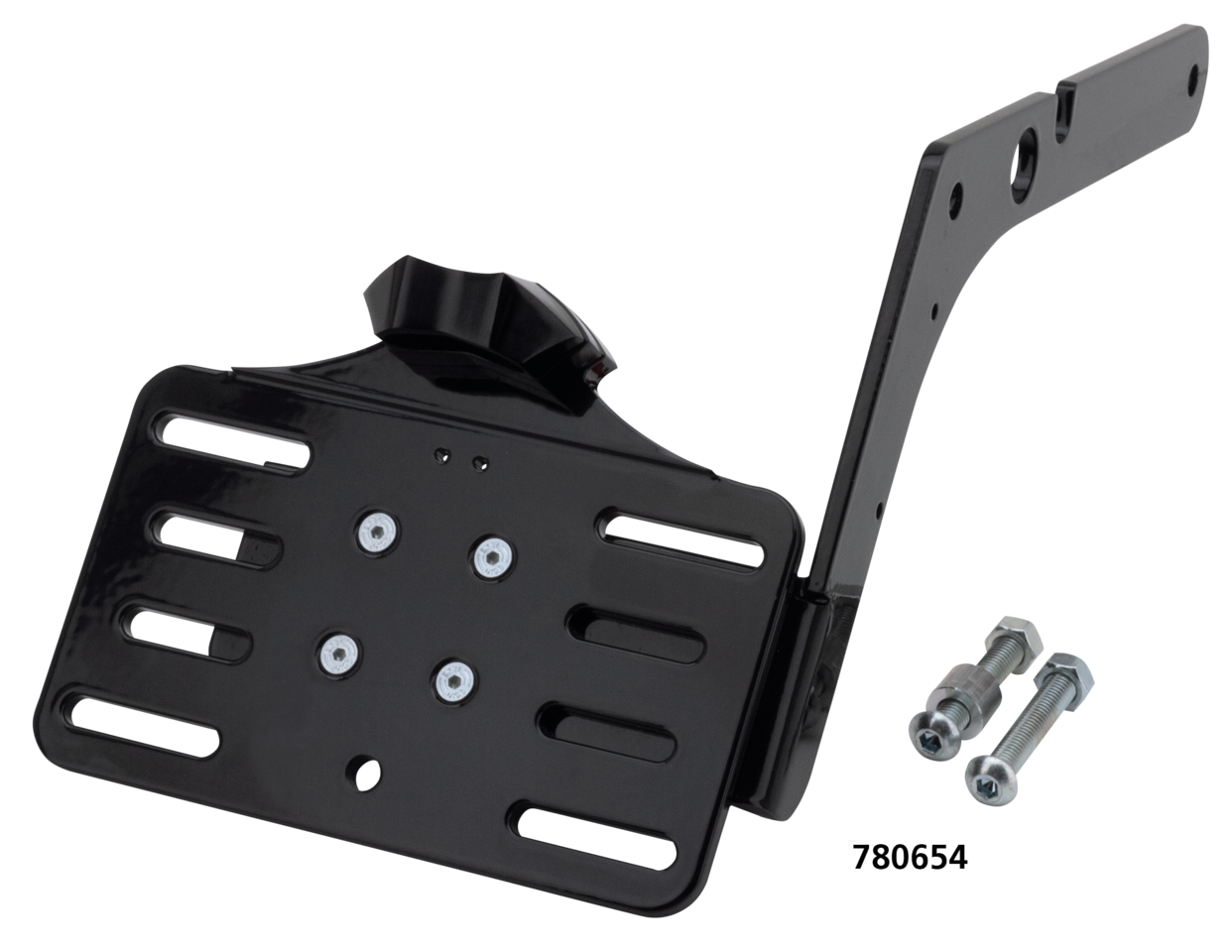 Vity's License Plate Brackets – Electric & Light