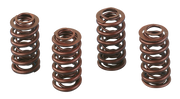 Andrews Valve Spring Sets – Engine
