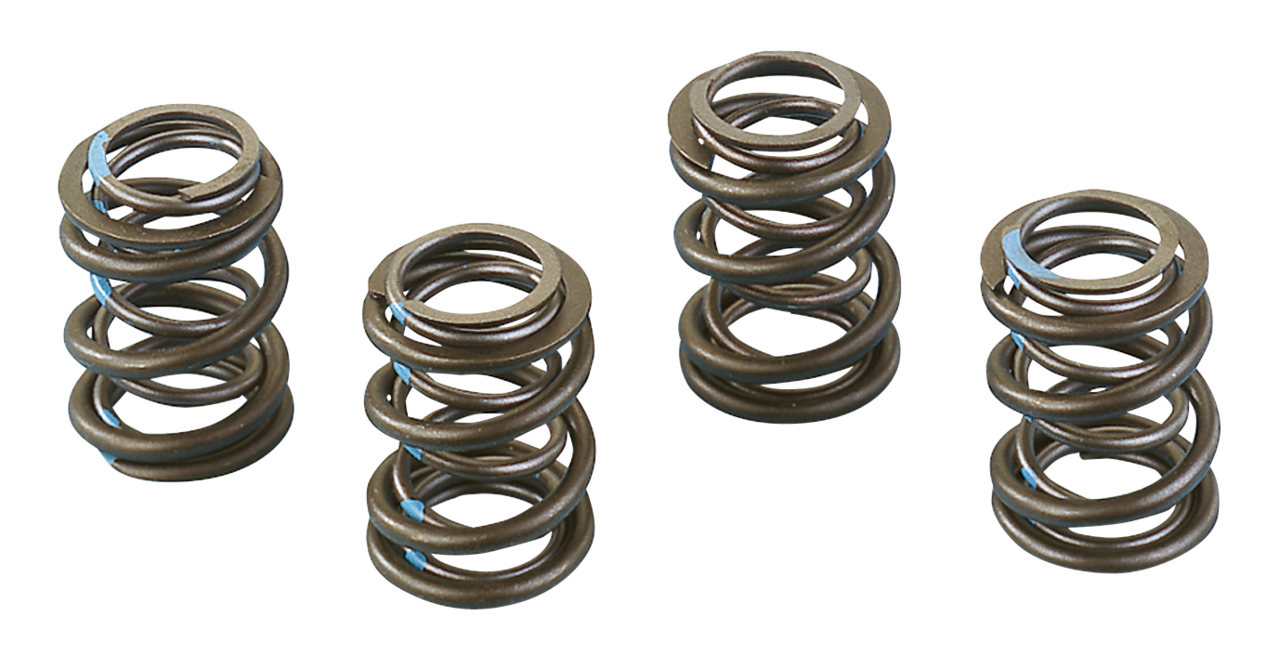 Andrews High Lift Valve Springs for Shovelheads – Engine
