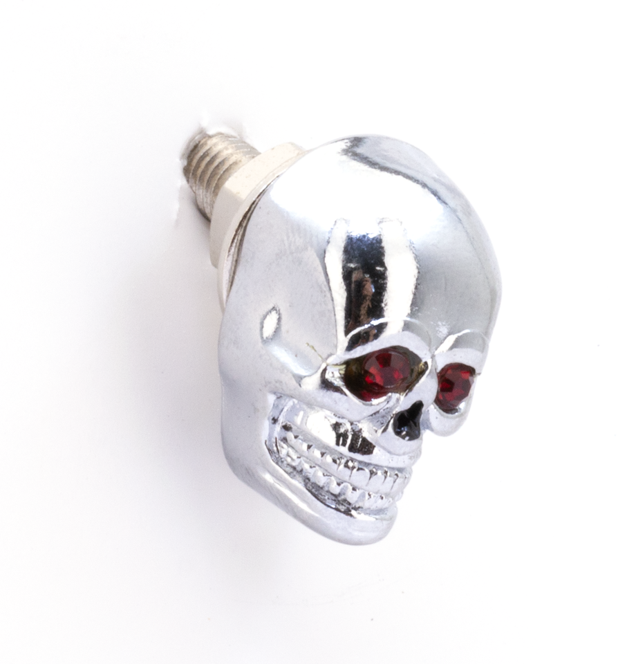 Bad Bones Studded Skulls – Hardware