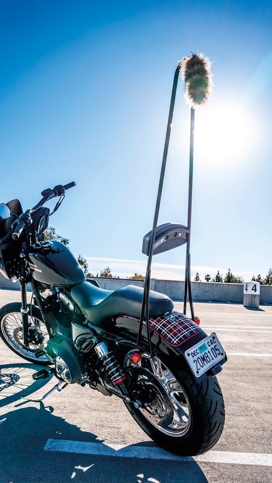 Burly Brand Stupid Tall Sissy Bars – Seat