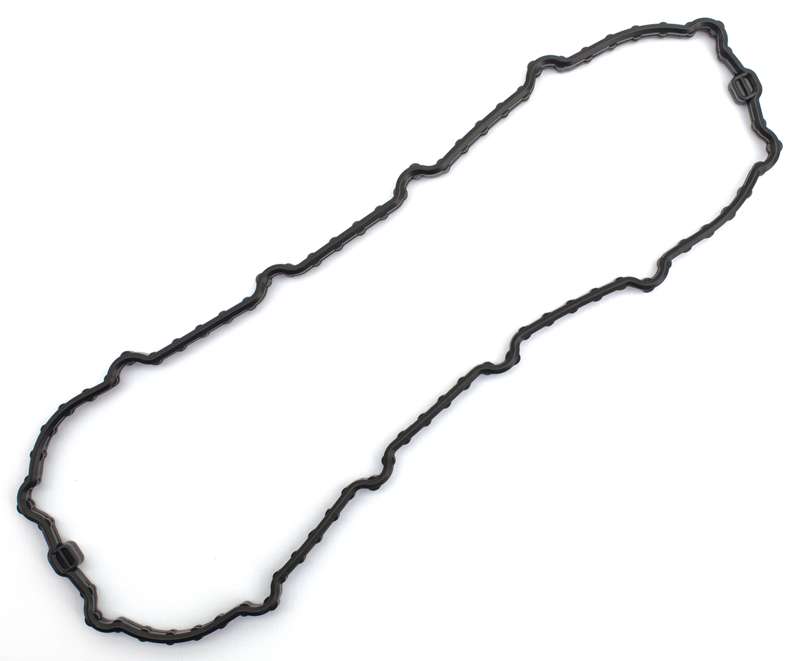 Zodiac Fuel Pump Door Gaskets – Gas- & Oil Tank